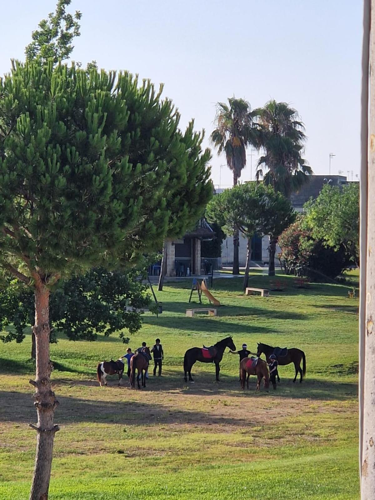 La Macchia Villa Botrugno Bagian luar foto