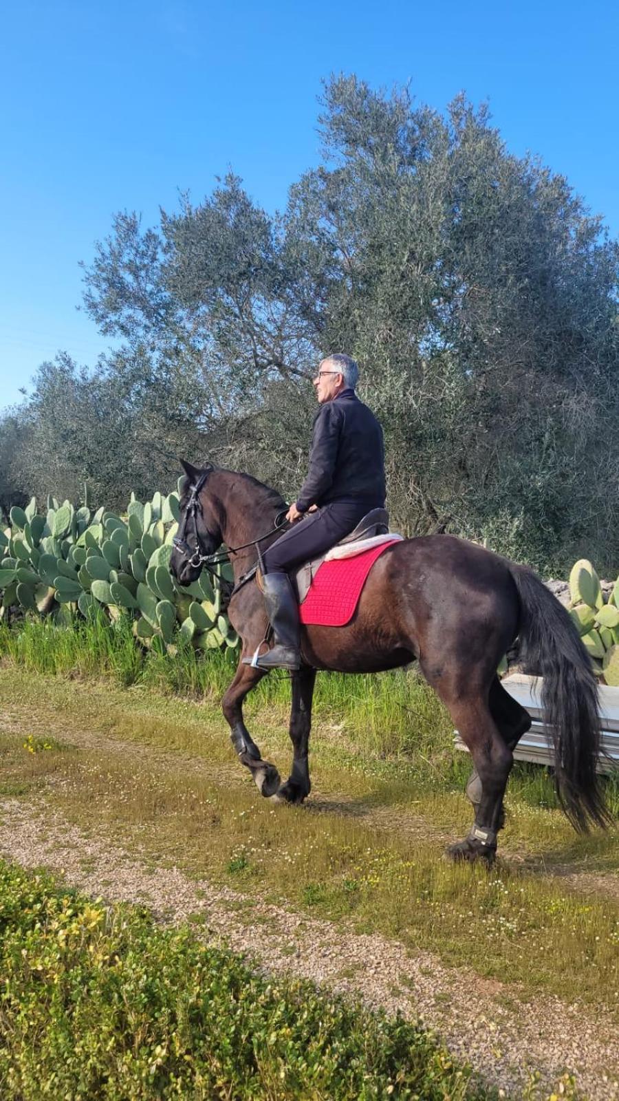 La Macchia Villa Botrugno Bagian luar foto