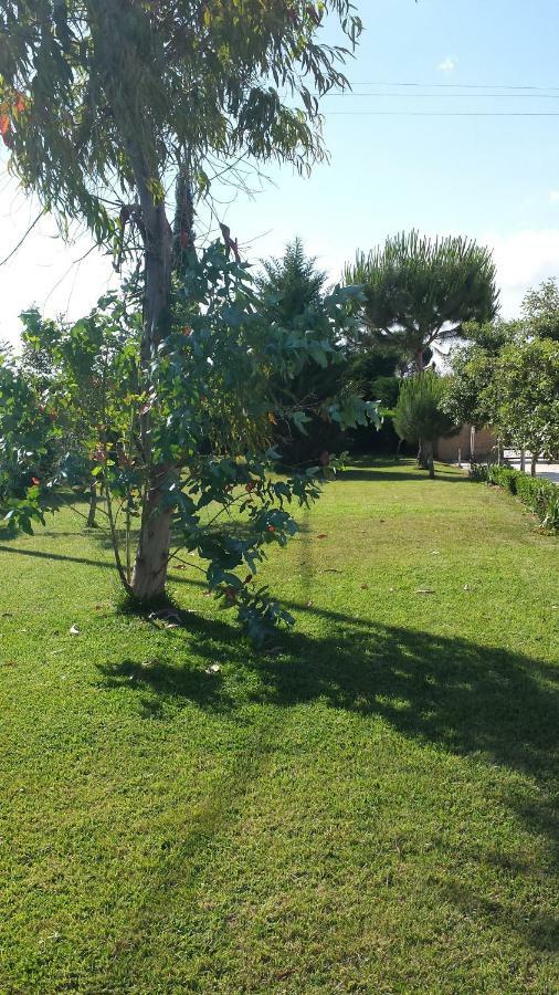 La Macchia Villa Botrugno Bagian luar foto